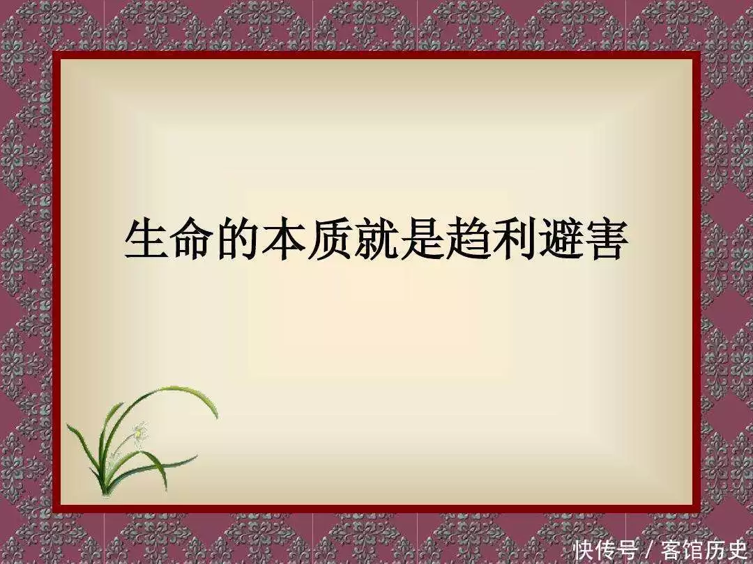 t01f2f20da4b4f49283.webp.jpg