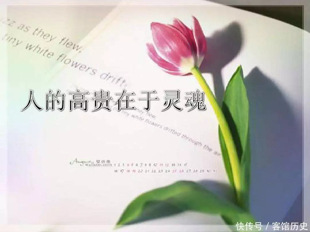 t014027e0236b25012f.webp.jpg