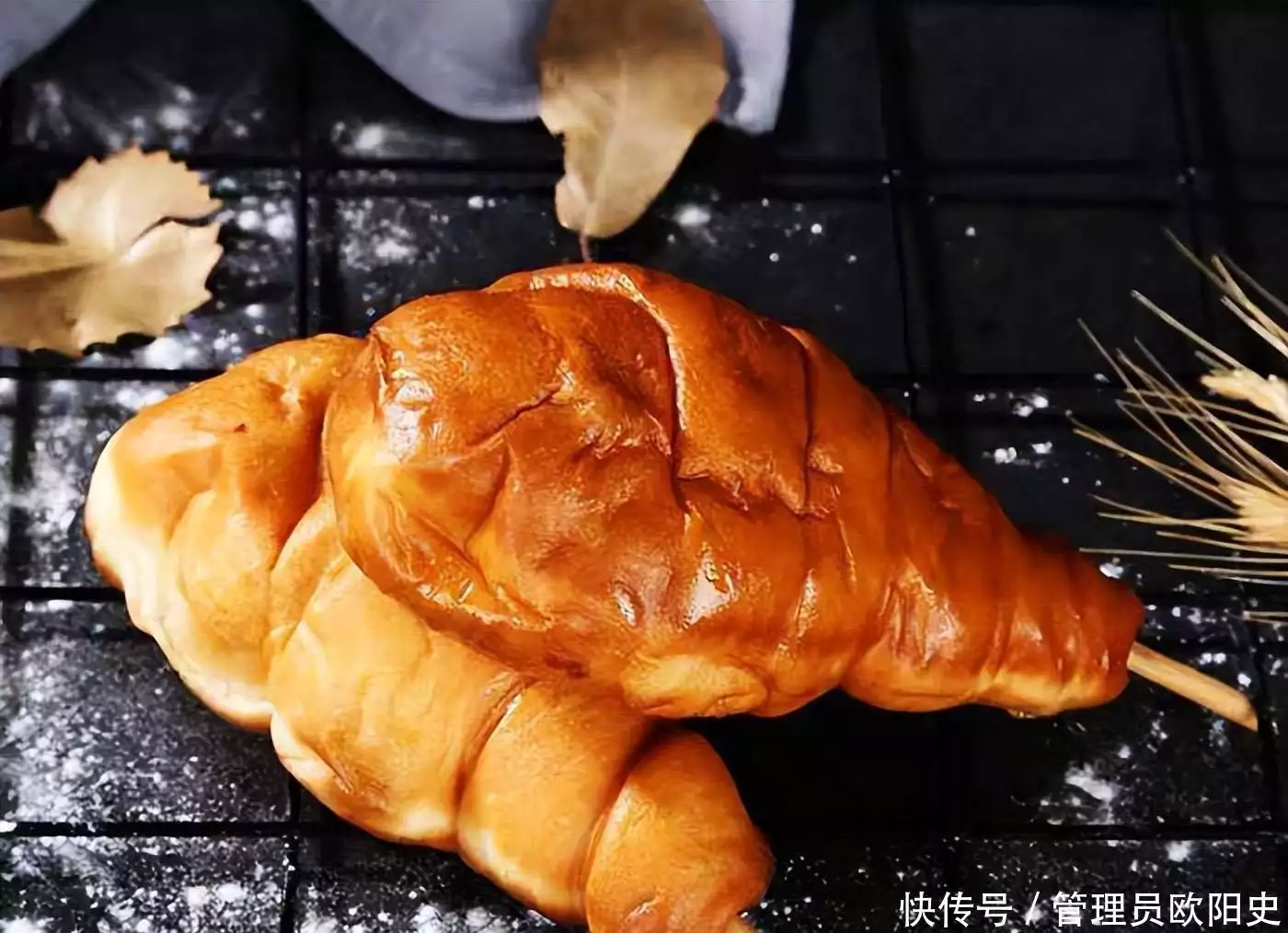 t017bc9241a086ce559.webp.jpg