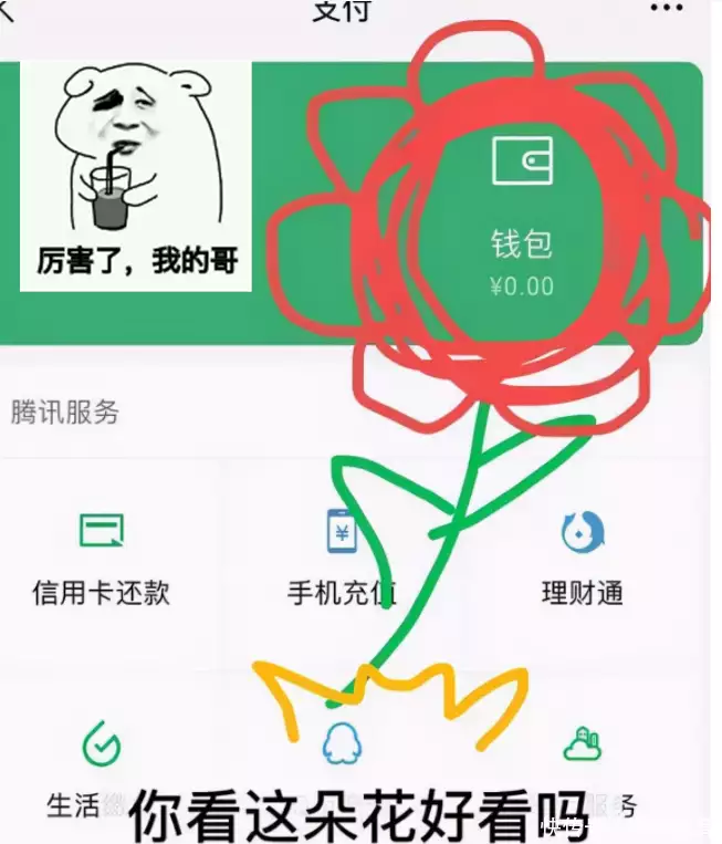 t018226b6a171794c11.webp.jpg