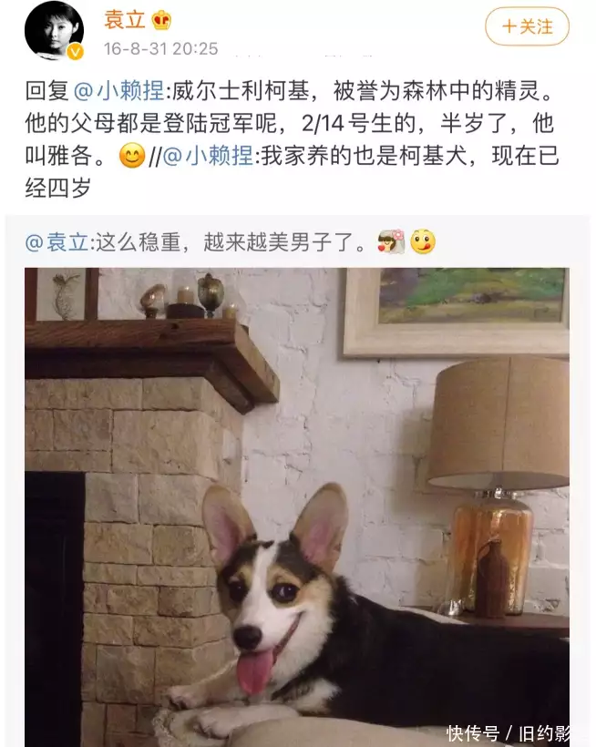 t01a831b032fd8ab831.webp.jpg