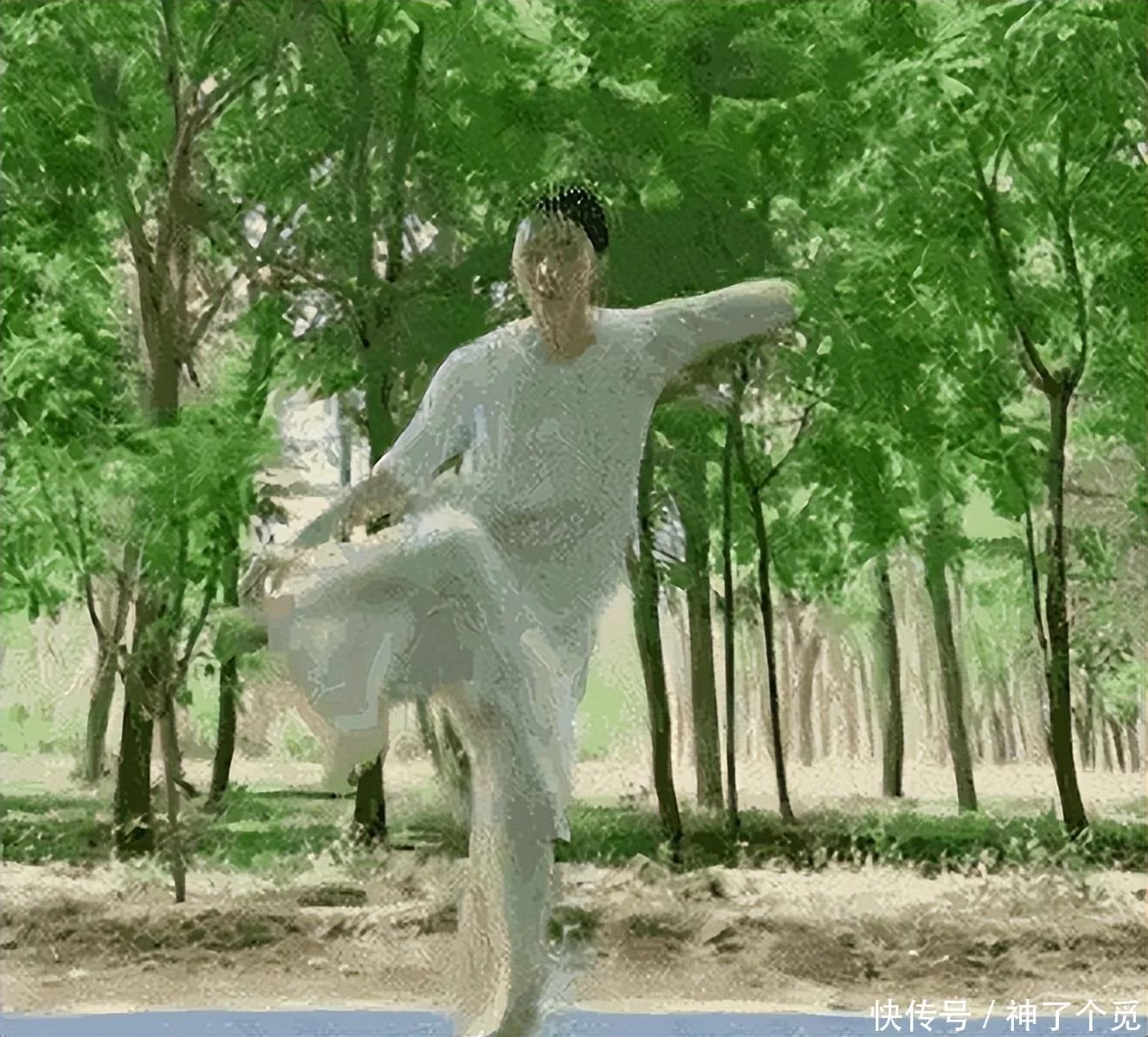 t013a88d0a80fd30147.webp.jpg