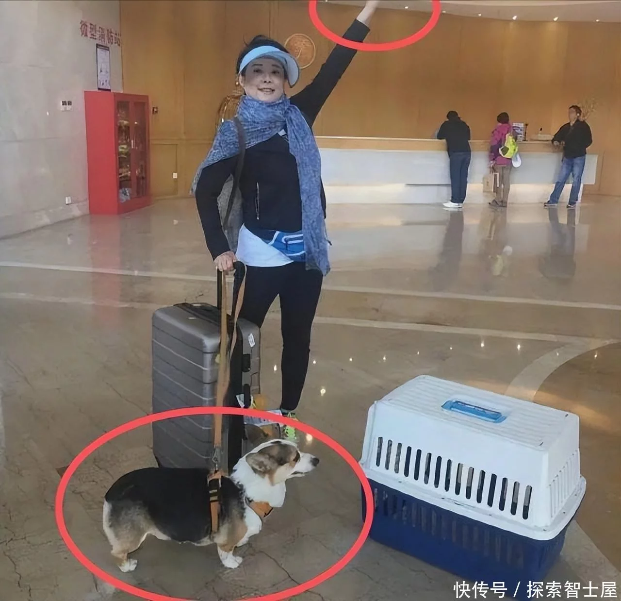 t015a20b87604f1862e.webp.jpg