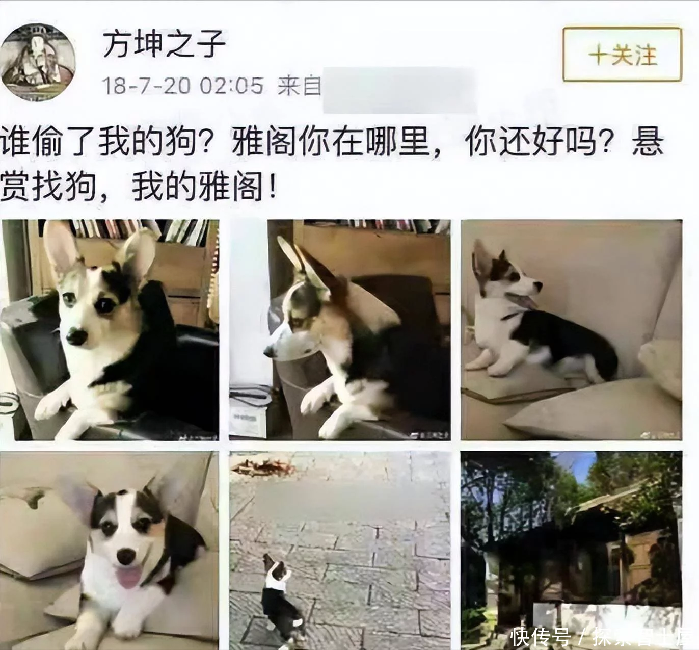 t013f5ac5d3cee4cebf.webp.jpg