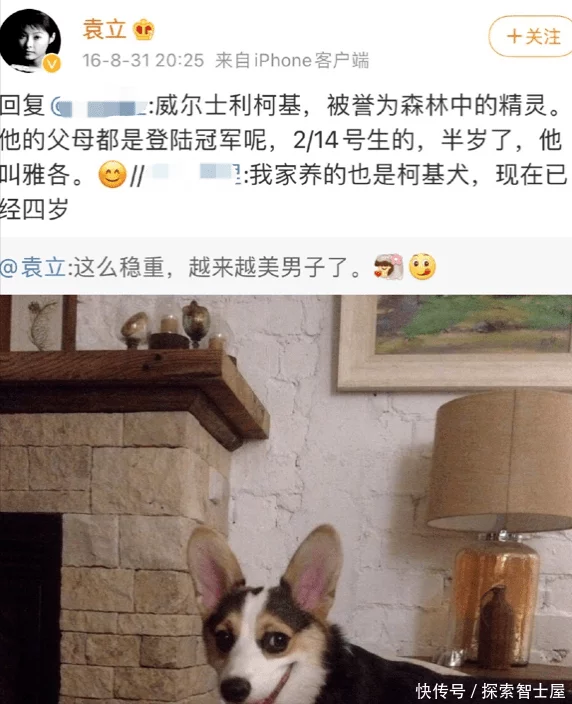 t011b76050586fb75f0.webp.jpg