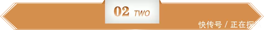 t01df2d7e488b717f56.webp.jpg