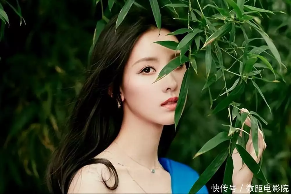 t01cc45fbc152e235b5.webp.jpg