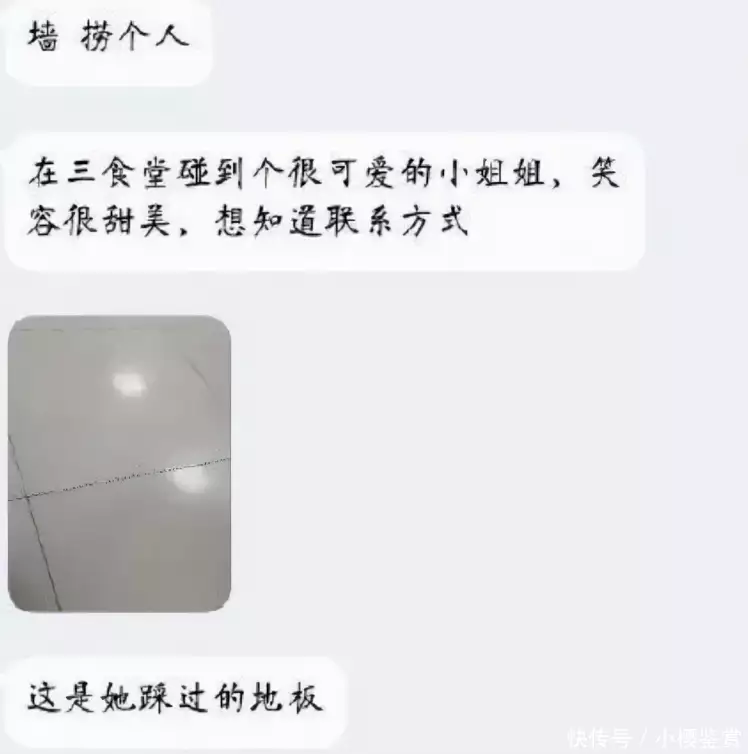 t0146256411a5852e51.webp.jpg