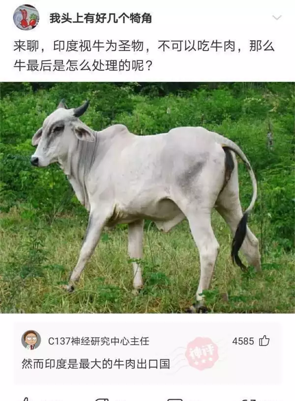t0187cb9bacee57aaa2.webp.jpg