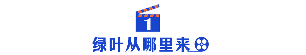 640.jpg