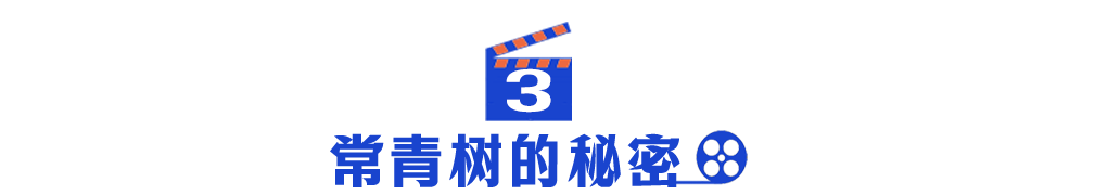 640.jpg