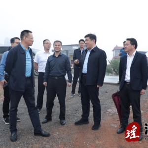 省调研组来江华调研粮油生产工作