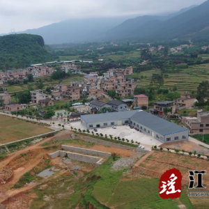 小圩壮族乡黄绿村：“引企入村”助力乡村振兴发展