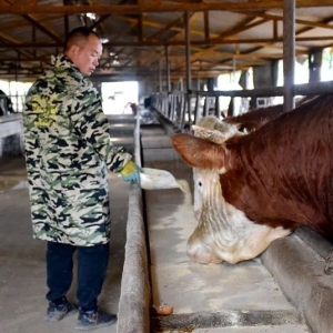 养殖场被评为省级科技小院，汝州这个村的牛书记18年来是咋做的？ ...