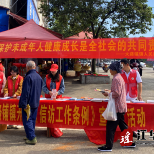 大路铺镇：《信访工作条例》宣传进乡村，依法信访入人心