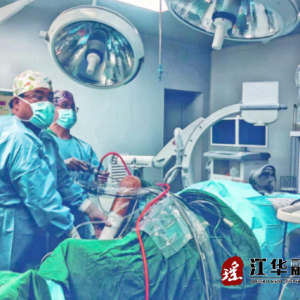 民族中医医院：发挥医联体联动效应，助推卓越医疗服务新突破