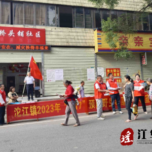 沱江镇开展预防野生蘑菇中毒宣传活动
