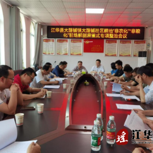 江华开展“驻场解剖麻雀式”自查自纠整治耕地“非农化”“非粮化”