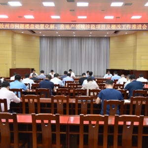 全市问题楼盘处置化解、房地产领域涉稳项目及棚改工作推进会召开 ...
