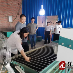 桥市乡：“乡村学堂”上门学技 助力产业发展