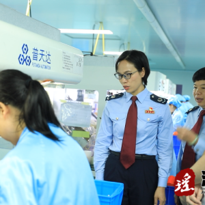 （新时代劳动者）杨春玉：铸就税务楷模