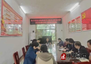 乡村振兴局：传达学习县委乡村振兴暨经济形势分析工作会议精神