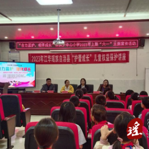 江华民政局开展2023年“合力监护 相伴成长”“六·一”主题宣传活动暨“未成年人保护工作宣传月”活动