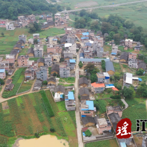 小圩壮族乡车田村：人居环境齐整治 乡村颜值再提升
