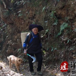 百岁瑶医黄兰英