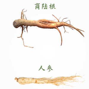 严重或致死！已多人中招！