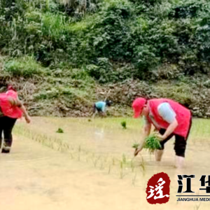 江华人民法院：厚植为民情怀，永葆为民初心