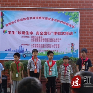 江华大石桥乡：交通安全宣传进校园