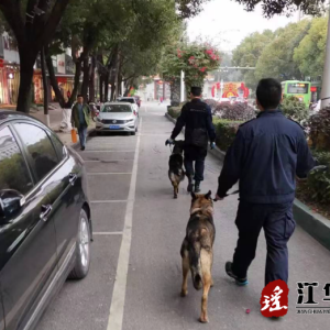 警犬上线，为江华公安街面巡防助力！
