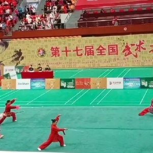 汝州代表队在十七届全国武术之乡比赛中喜获佳绩！
