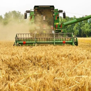 这两天，汝州是真的拼了!