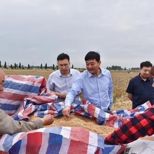 韩春晓调研麦收及“五星”支部创建工作