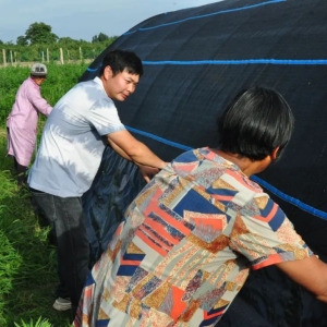 同样是种地，为什么他们可以一年赚几十万?