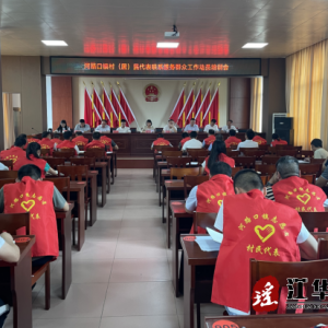 江华河路口镇组织召开村（居）民代表联系服务群众动员培训会
