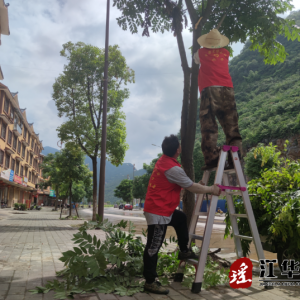 江华水口镇：开展“修枝剪叶 美化环境”志愿服务活动
