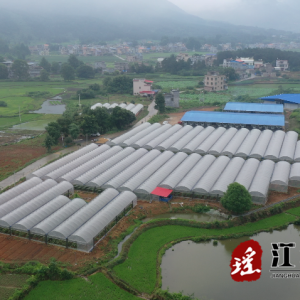 江华河路口镇财塘村：乡村振兴锦上添花