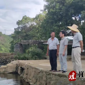 陈亚名到大路铺镇开展专题调研