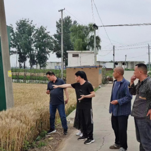 颗粒归仓抢收忙，党员干部显担当！