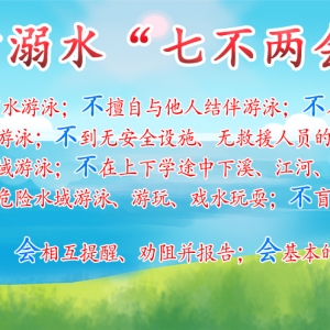 桥市乡：早稻抽穗扬花，夏粮丰收在望