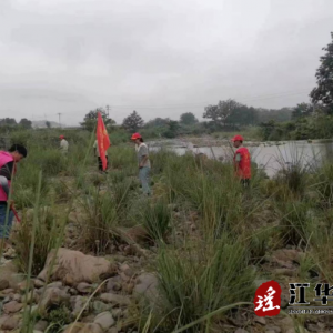 河路口镇：开展西河河道保洁，助力水清岸绿景美