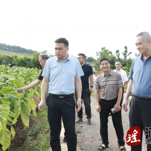 河南中烟来江华调研