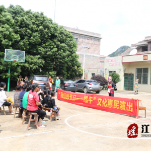 江华涛圩镇：两地联合开展“湖广一家亲，共度端午节”文明实践活动