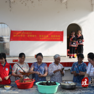 江华涛圩镇开展“我们的节日·浓情端午 粽享安康·瑶歌传唱”主题文明实践活动