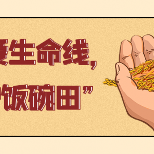 江华码市镇朝阳村：“三非”厂棚“变身”良田美景