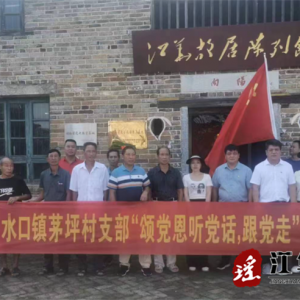 江华水口镇茅坪村开展“七一”主题党日活动