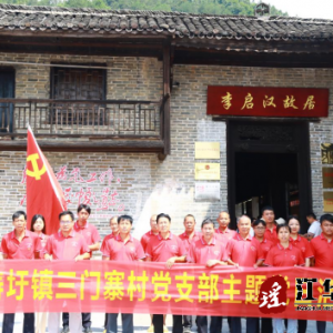 三门寨村党支部开展“庆七一、强党性、守初心、担使命”主题党日活动